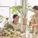 솔연