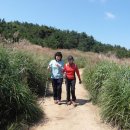 장산억새밭 이미지