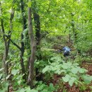 내리2리 농장 | 한강 기맥 청계산 구간