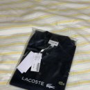 26230-73-10-005 | 라코스테 슬림핏 반팔 폴로 다크네이비 후기! (PH6348-55G 166)