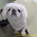 마린시티 종합동물병원 이미지