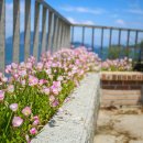 샹그릴라펜션민박 이미지