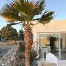 더스마일독채풀빌라5 | 제주도풀빌라 제주 한경면 독채펜션 그라운드플레이스