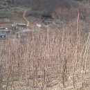 제언농장 이미지