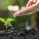 보람요양병원 이미지