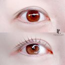 디자인엘에이엔 이미지