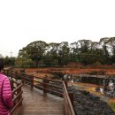 온평리-12 이미지