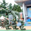 지상태권도 이미지