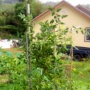 혁이농장 이미지