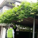 마천경로당 이미지