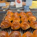 포천대신동물병원 | 포천 숲속의 제빵소 베이커리 카페 내돈내산 솔직후기