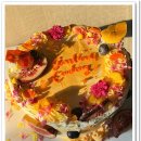 동일안전 이미지