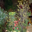 성전2호 이미지