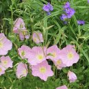 선우행정사사무소 이미지