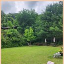 파밀리아 힐 이미지