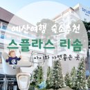 11650-16-8-1 | 예산 여행 16개월 아기와 함께하는 스플라스 리솜 후기