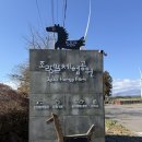 승마체험코스 | 조랑말체험공원 B코스 가족여행 제주도 승마 체험 후기