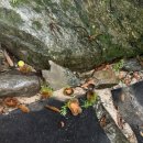 발리노래방건물 | [춘천] 계곡+수영장 가성비 최고 펜션 ‘발리앤밸리‘ | 내돈내산 방문