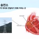 뜻 깊고 감사했던 3-Day Study 비대면 강의 - 후기 이미지