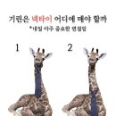 기린 이미지