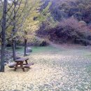 정일당강씨묘 이미지