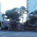 안중읍사무소 이미지