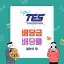 디테스