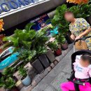 자유시장(권약국 건너편 버스정류장) | 나트랑 시내 아이와 도보 투어 골드코스트 센트럴마켓 풍경