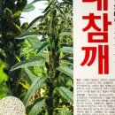 예안환경 이미지