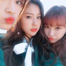 나의 댕댕이 이미지