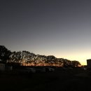 병락농장 | Australia-호주워홀+103~111 / 번다버그 / 농장생활 / 딸기하이시즌 / 번다버그버거추천 / James&#39;s Place