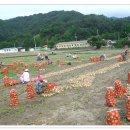 구성파출소 이미지