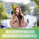 예그리나 - 울주군 대운상대길 158 | 울산 시티컨벤션 예그리나 홀 투어 후기♥ 우아한 분위기가 인상적이었던 웨딩홀!