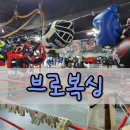 김제시복싱협회체육관 | 초등 복싱 승단심사 후기 대한생활체육복싱협회 공무원 가산점 브로복싱 종암점 시설 정리