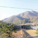 500043 Daum카페