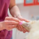 마스터 동물의료센터 이미지