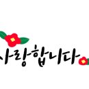 인셀덤 은평대리점 이미지
