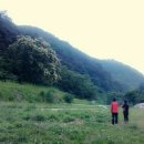 모골식당 이미지