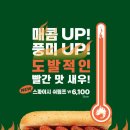 써브웨이 이미지