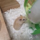 수원-0109 이미지