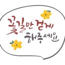 손글씨의 낭만, 캘리그라피 이미지