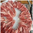 청년장어 이미지