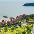 엘도라도 아마존 이미지