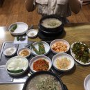 진주 오리탕 용암탕 진주카페 스테고