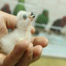 최고농장 이미지