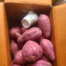 남구-038 이미지