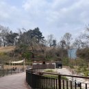 청계산 공영주차장 화장실 이미지