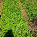 풀천지농장 이미지