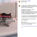 강한우리동물병원 이미지