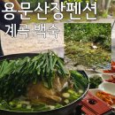 용문산계곡 펜션 | 양평여행 계곡 백숙 추천 용문산장펜션 예약 방문 후기 내돈내산
